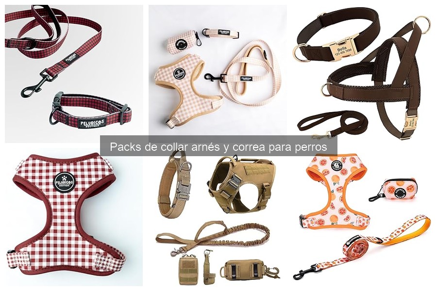 Mejores packs de collar, arnés y correa para perros pequeños