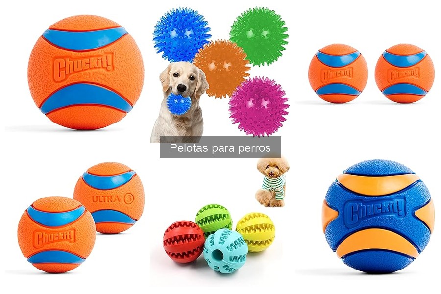 Mejores pelotas para perros: comparativa de usuarios