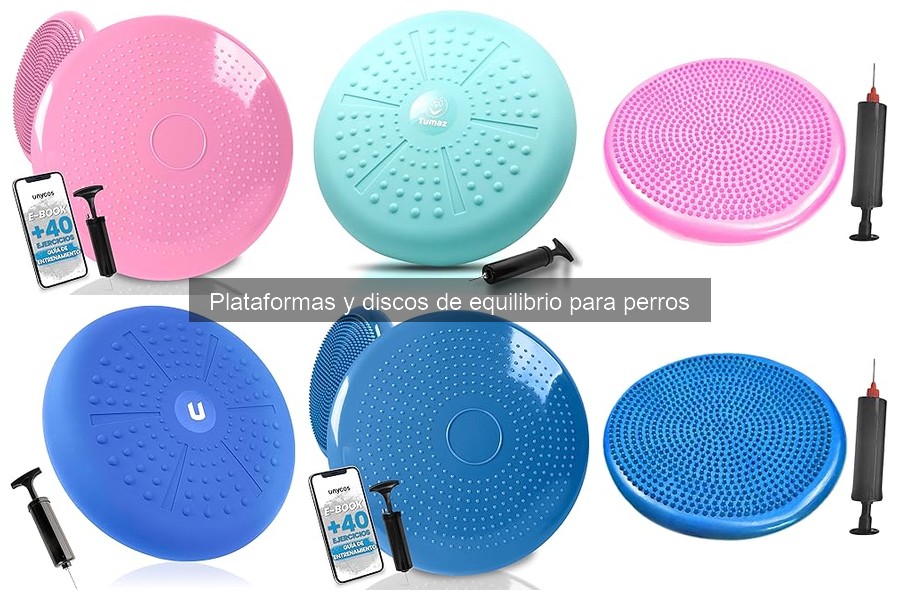 Mejores plataformas y discos de equilibrio para perros