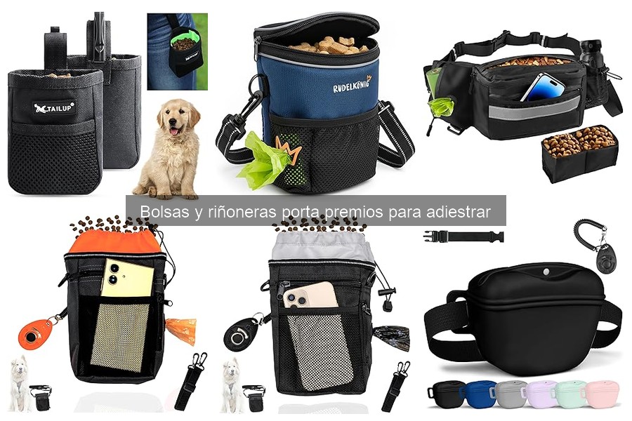 Mejores Prácticas con Bolsas Porta Premios en Paseos