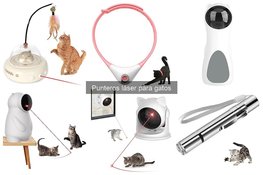 Mejores punteros láser para gatos: comparativa y opiniones