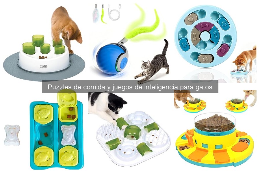 Mejores puzzles de comida para gatos: comparativa y características