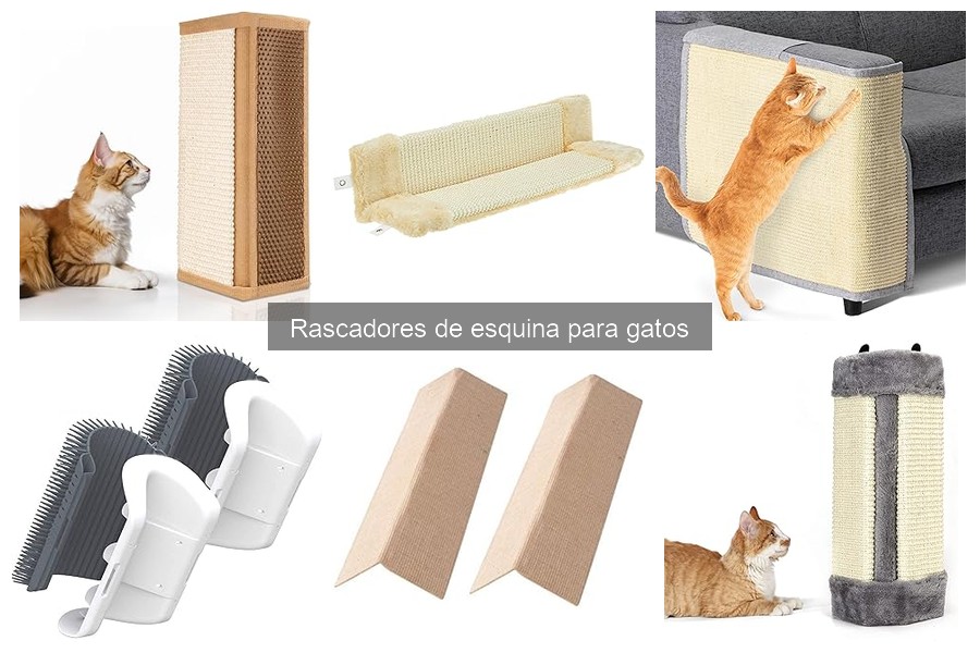 Mejores rascadores de esquina para gatos según opiniones