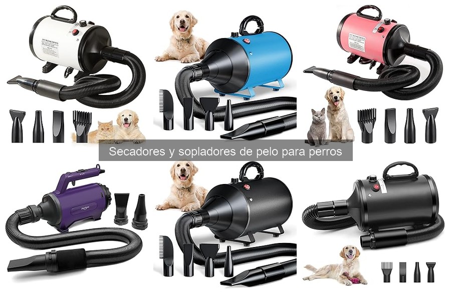 Mejores secadores para perros grandes: comparativa 2023