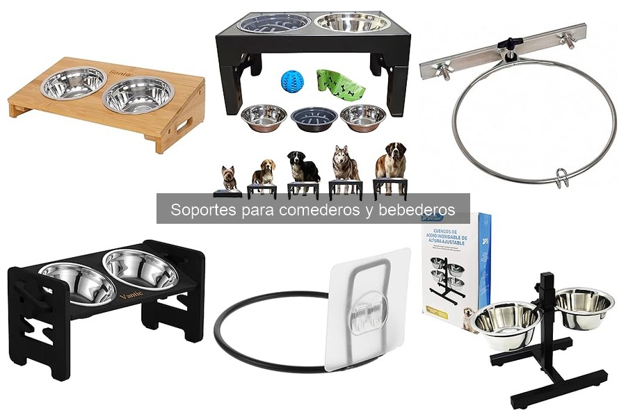 Mejores soportes para comederos y bebederos para gatos