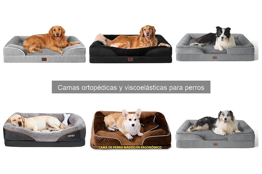 Mejores tiendas para comprar camas ortopédicas para perros