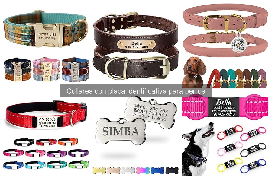 Mejores tiendas para comprar collares con placa identificativa