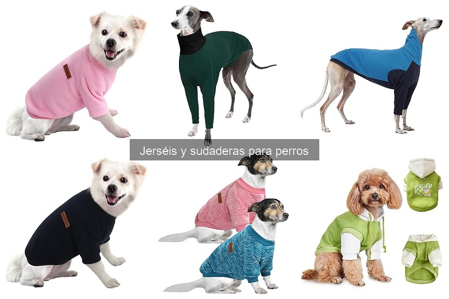 Mejores tiendas para comprar jerséis y sudaderas para perros