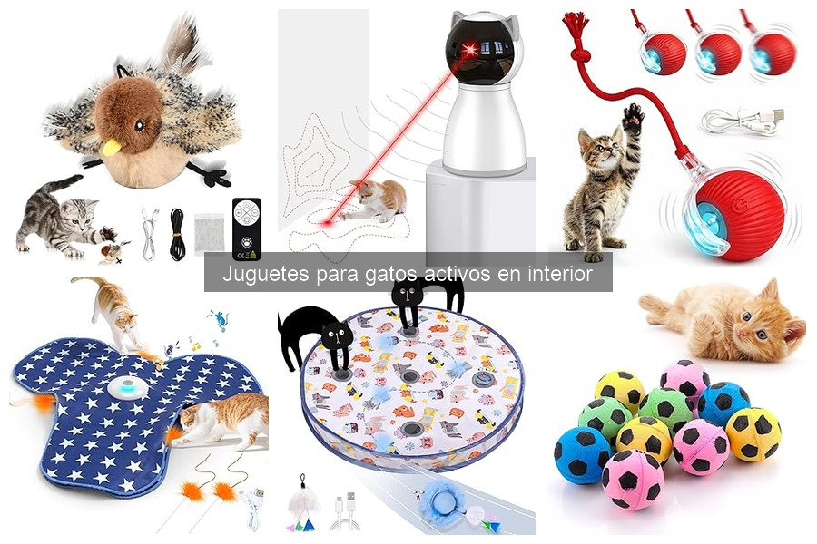 Mejores tiendas para comprar juguetes baratos para gatos
