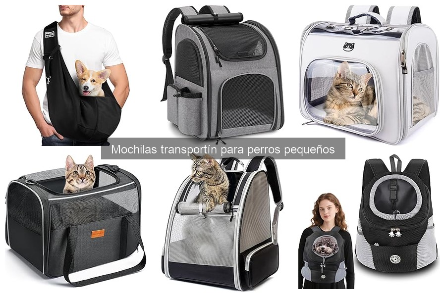 Mejores tiendas para comprar mochilas transportín para perros pequeños