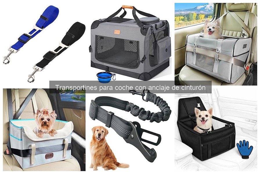 Mejores tiendas para comprar transportines de coche con anclaje