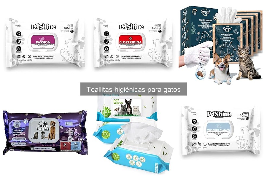Mejores toallitas higiénicas para gatos según usuarios