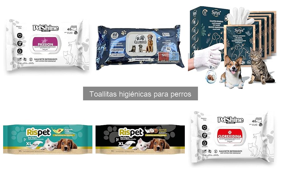 Mejores toallitas higiénicas para perros: selección de expertos