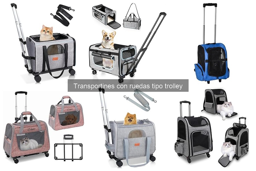 Mejores transportines con ruedas para viajar en avión