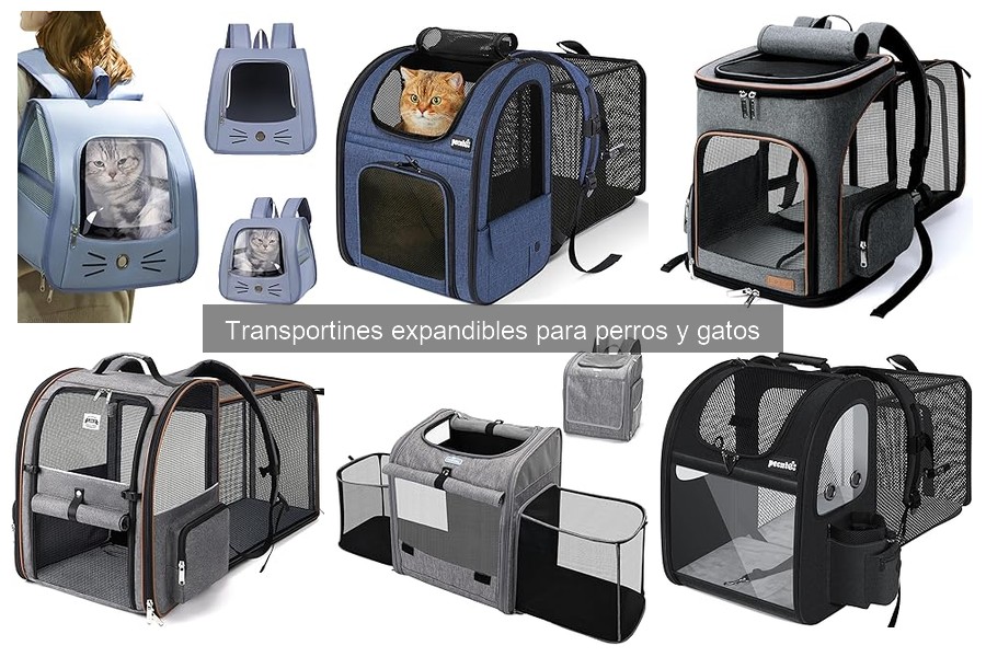 Mejores transportines expandibles para mascotas en 2023
