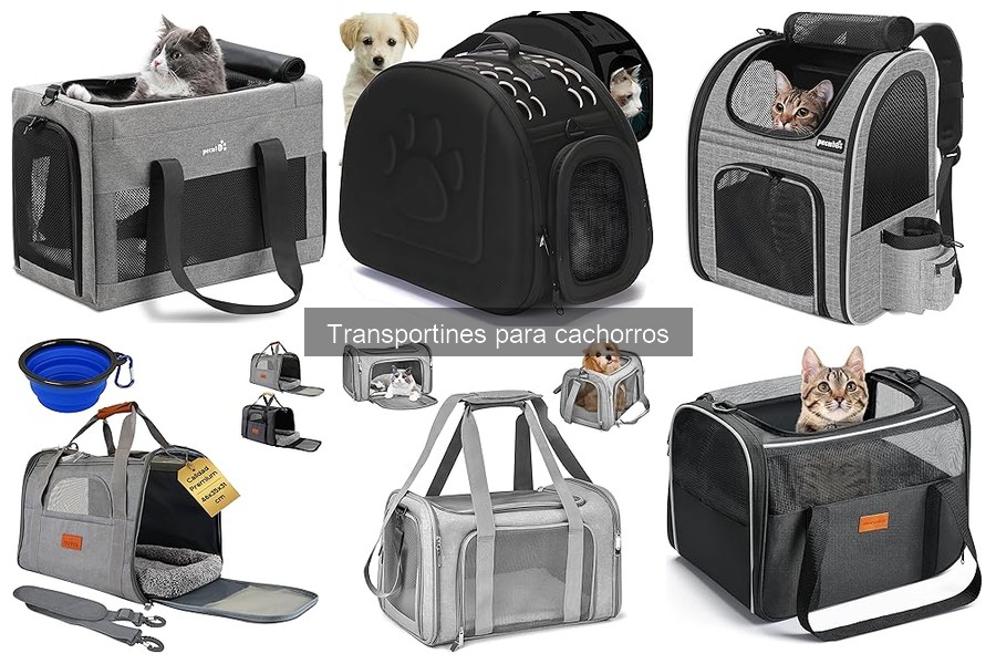 Mejores transportines para cachorros: ¿Cuál elegir?
