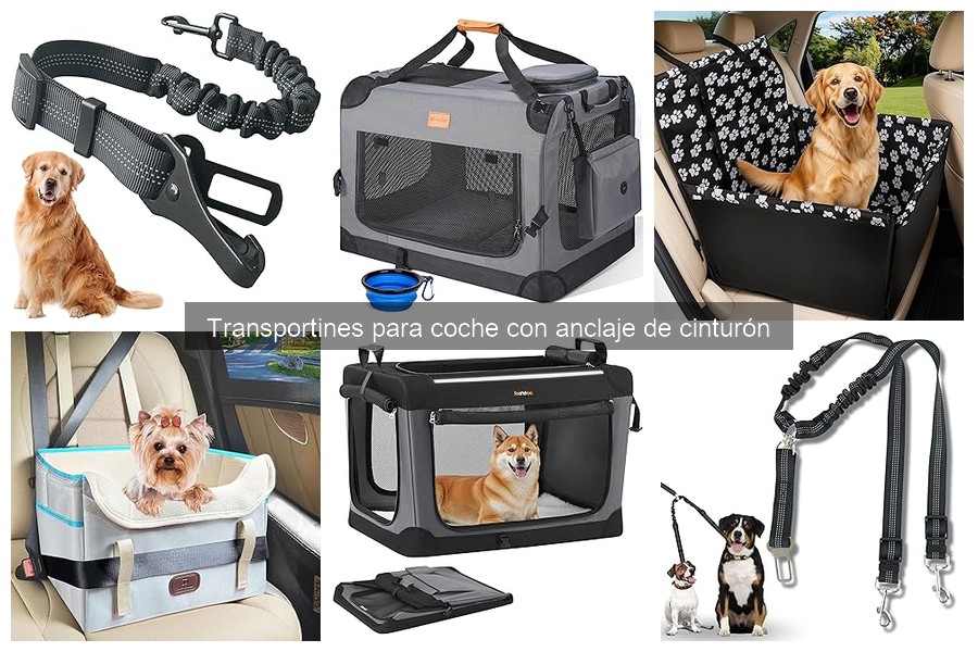 Mejores transportines para coche con anclaje de cinturón 2023