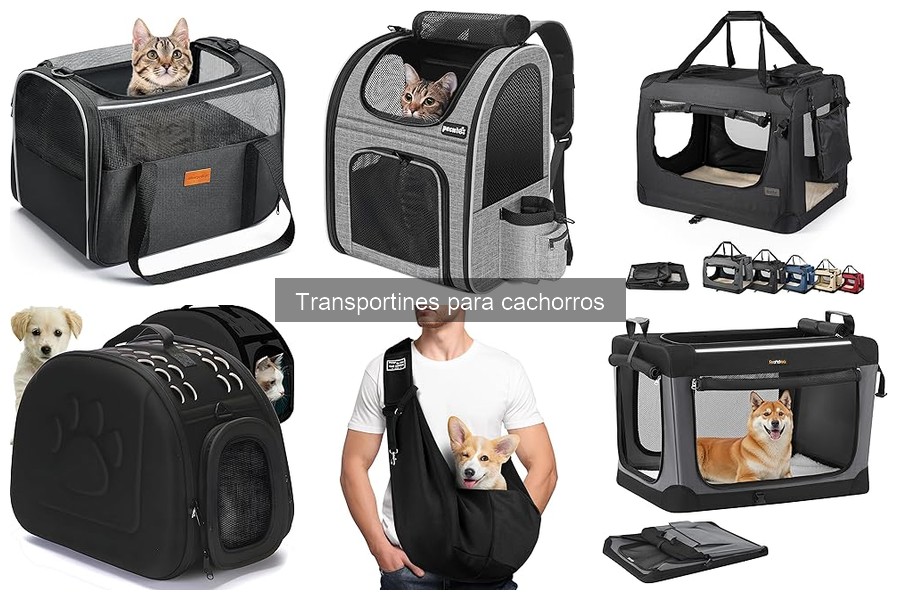 Mejores transportines para viajes en avión con cachorros