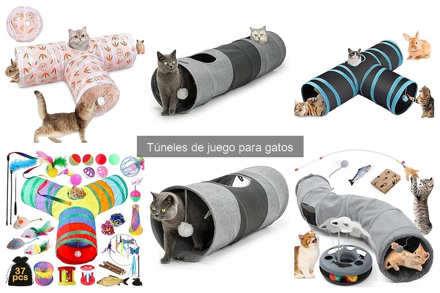Mejores túneles de juego para gatos según su personalidad
