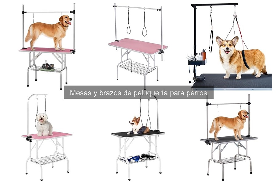 Mesas de peluquería para perros: ¿Son realmente necesarias?