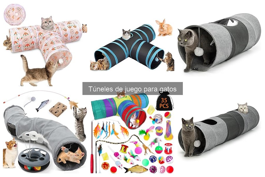 Mitos y realidades sobre túneles de juego para gatos