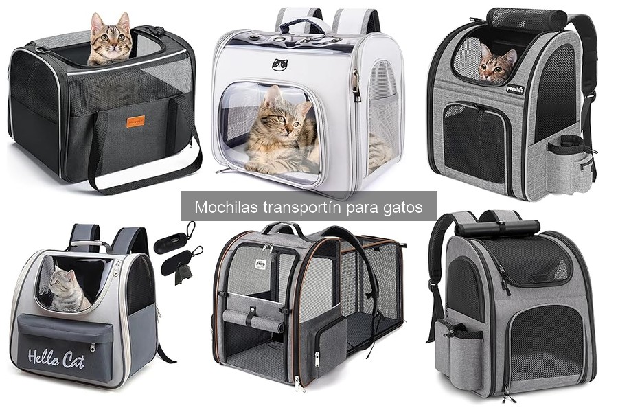 Mochilas transportín para gatos: características destacadas