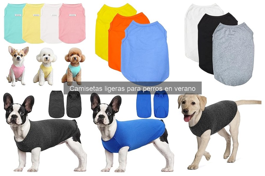 ** Moda perruna: últimas tendencias en camisetas ligeras para perros