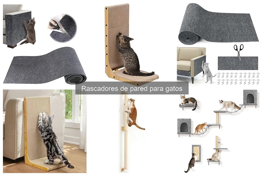 Motiva a tu gato a usar un rascador de pared: consejos útiles