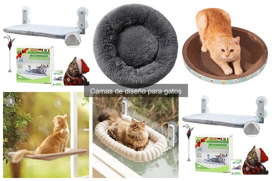 ¿Necesitas una cama de diseño para tu gato? Descúbrelo aquí