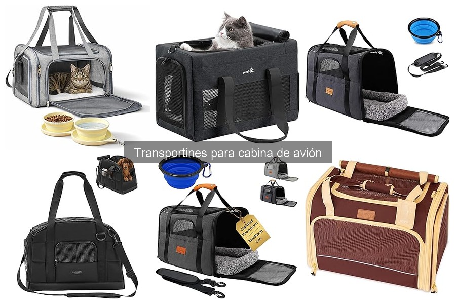 Normativas de Aerolíneas para Transportines de Mascotas
