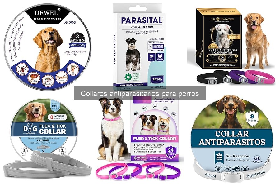 Ofertas en collares antiparasitarios para perros: ahorra hoy