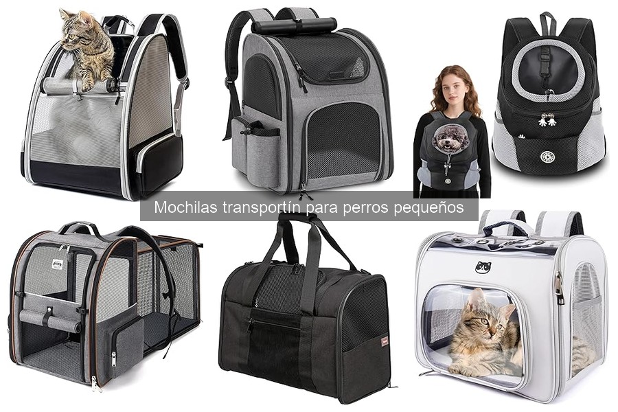 Ofertas en mochilas transportín para perros pequeños: ¡Ahorra hoy!