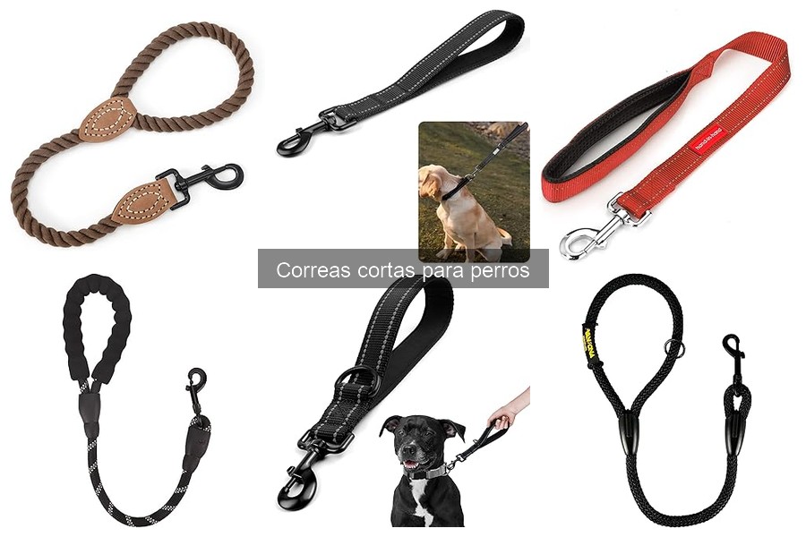 Ofertas irresistibles: correas cortas para perros