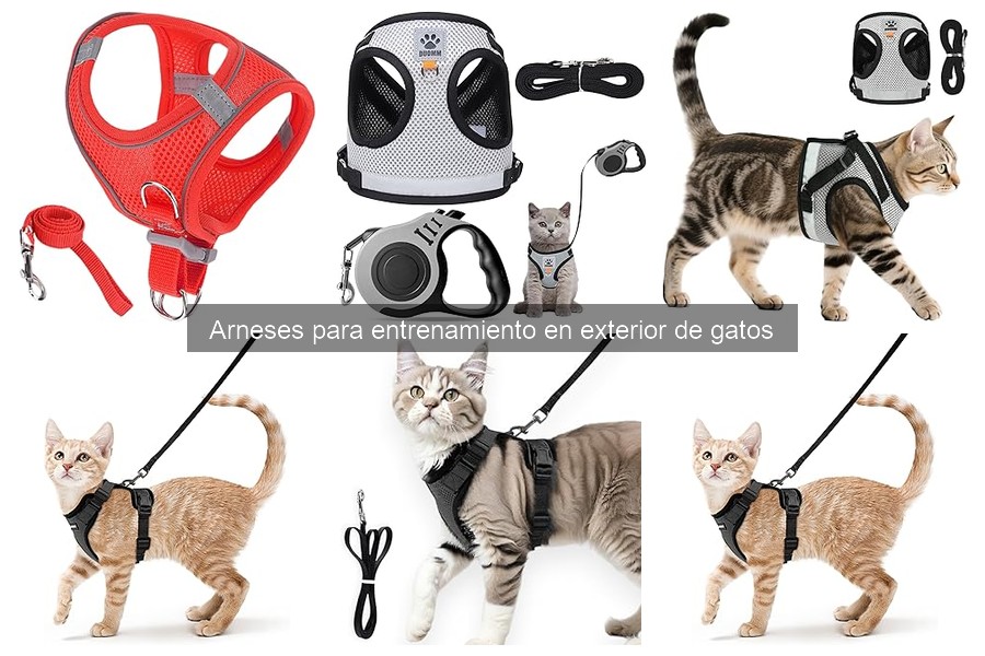 Ofertas irresistibles en arneses para gatos - Ahorra hoy