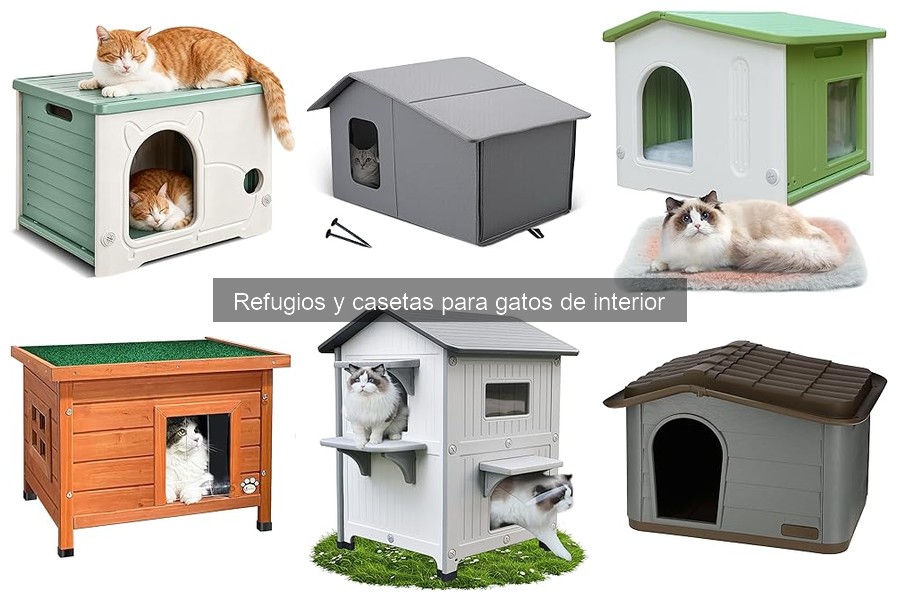 Ofertas y Descuentos en Casetas para Gatos de Interior
