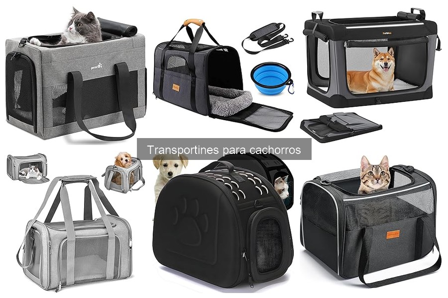Ofertas y Descuentos en Transportines para Cachorros