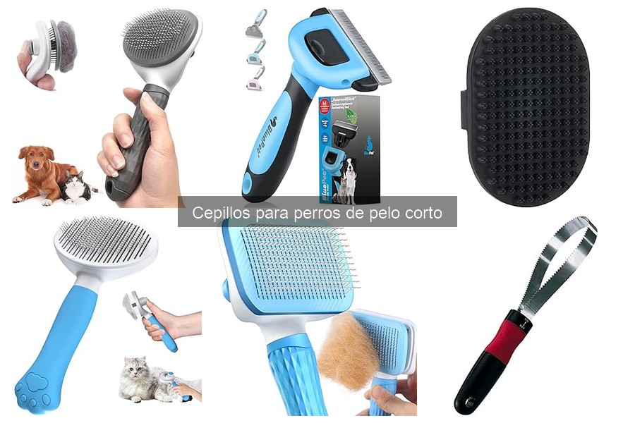 Ofertas y precios de cepillos para perros de pelo corto