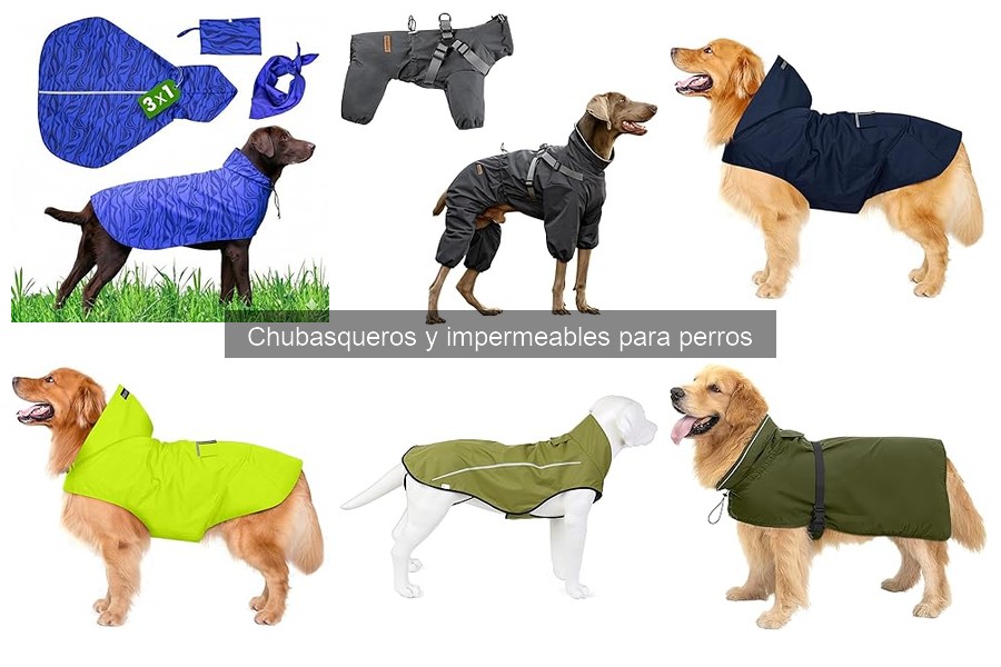 Ofertas y precios de chubasqueros para perros en 2023