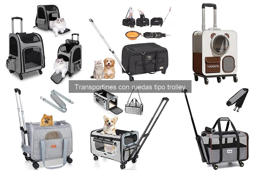 Ofertas y Precios de Transportines con Ruedas para Mascotas