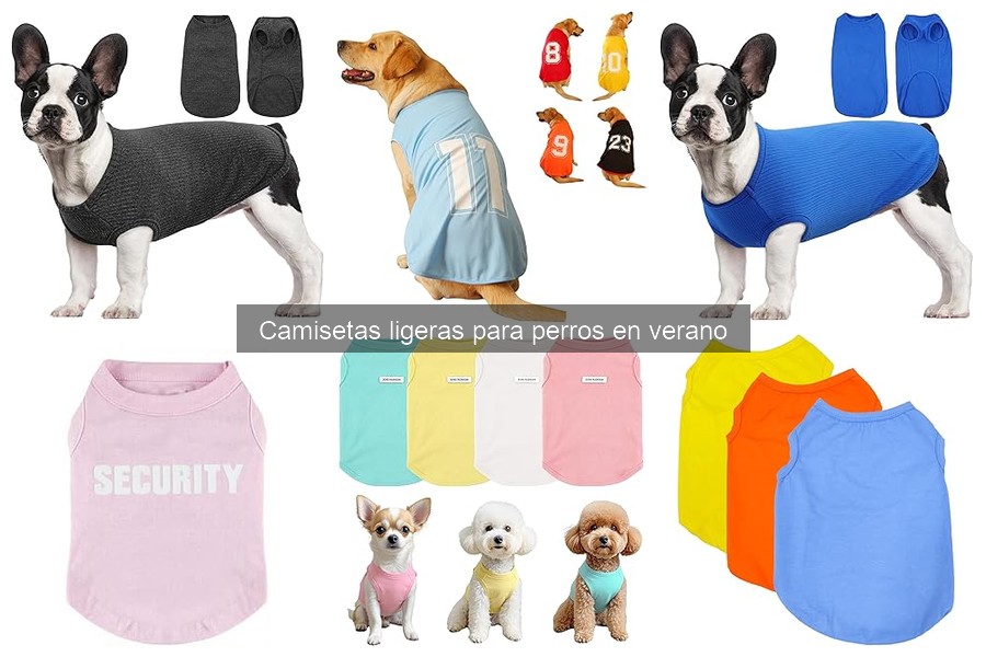 Opciones de camisetas ligeras para perros que odian la ropa