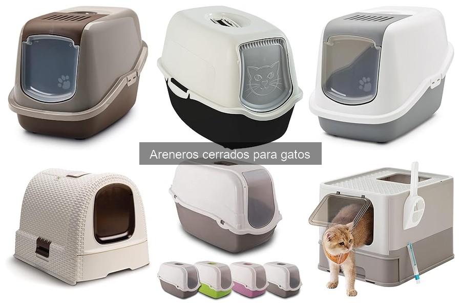 Opiniones de Areneros Cerrados: Feandrea, Rotho y Nayeco