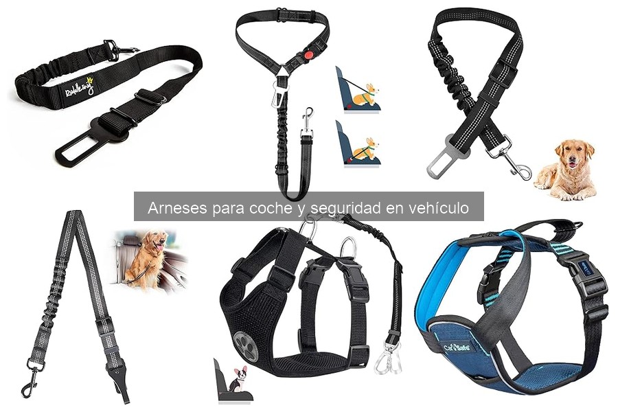 Opiniones de arneses de coche para perros: reseñas reales