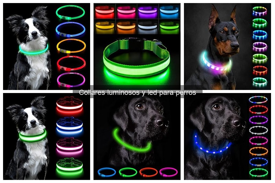 Opiniones de collares luminosos para perros: experiencias reales