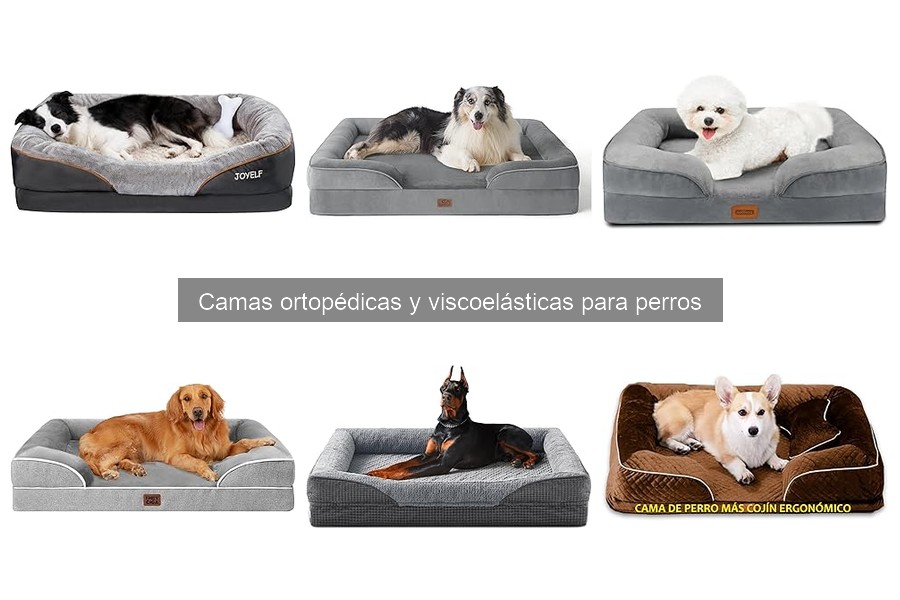 Opiniones de expertos sobre camas viscoelásticas para perros