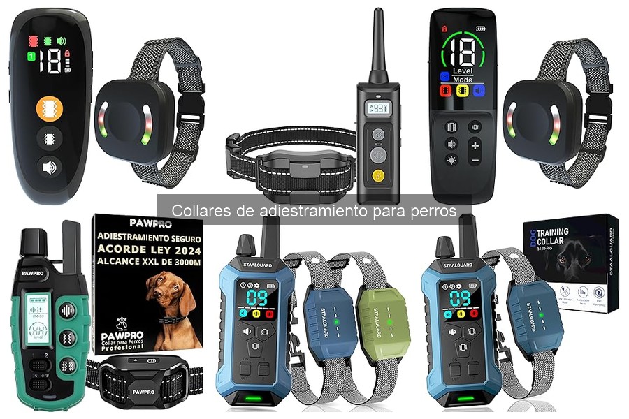 Opiniones de expertos sobre collares de adiestramiento para perros