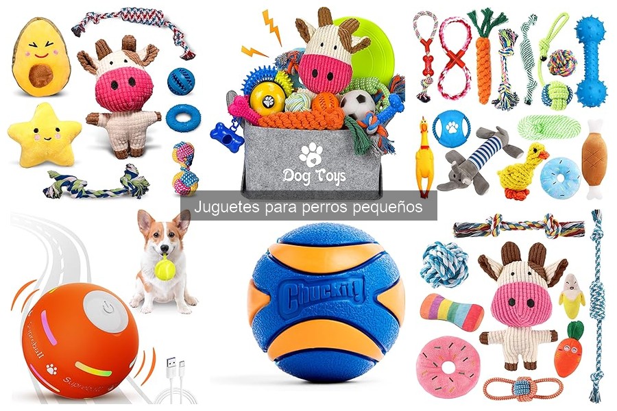 Opiniones de juguetes para perros pequeños: ¿Cuáles son los mejores?