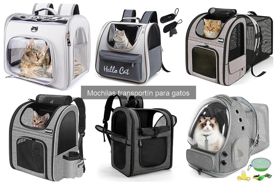 Opiniones de mochilas transportín para gatos: ¿cuál elegir?
