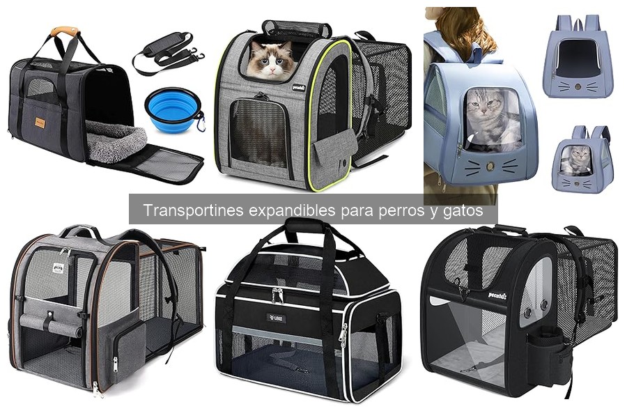 Opiniones de Transportines Expandibles para Perros y Gatos