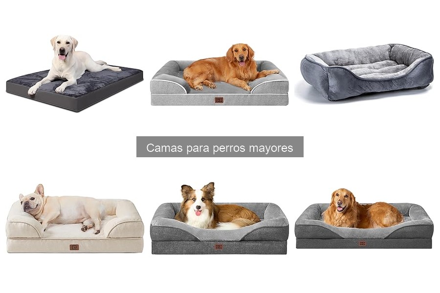 Opiniones de usuarios sobre camas para perros mayores