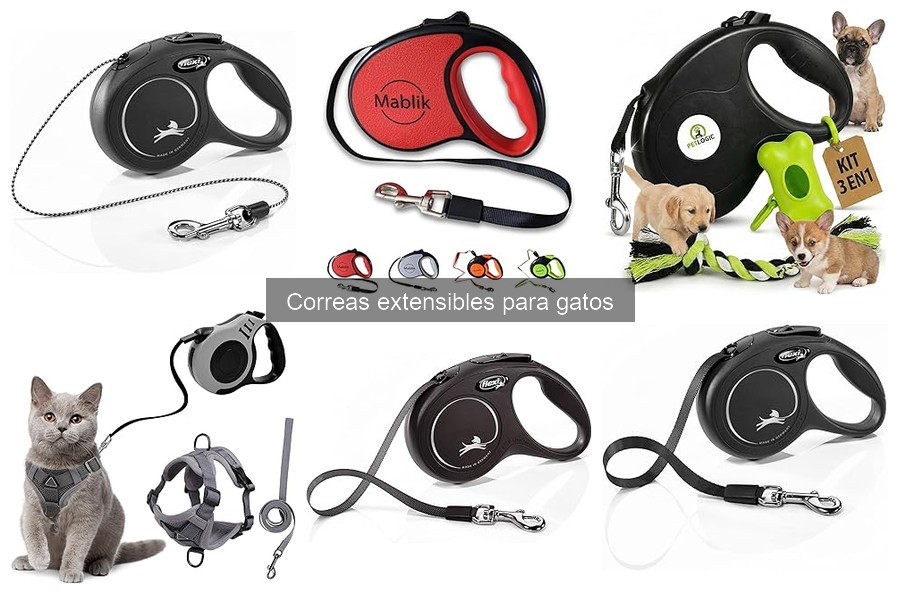 Opiniones de Veterinarios sobre Correas Extensibles para Gatos